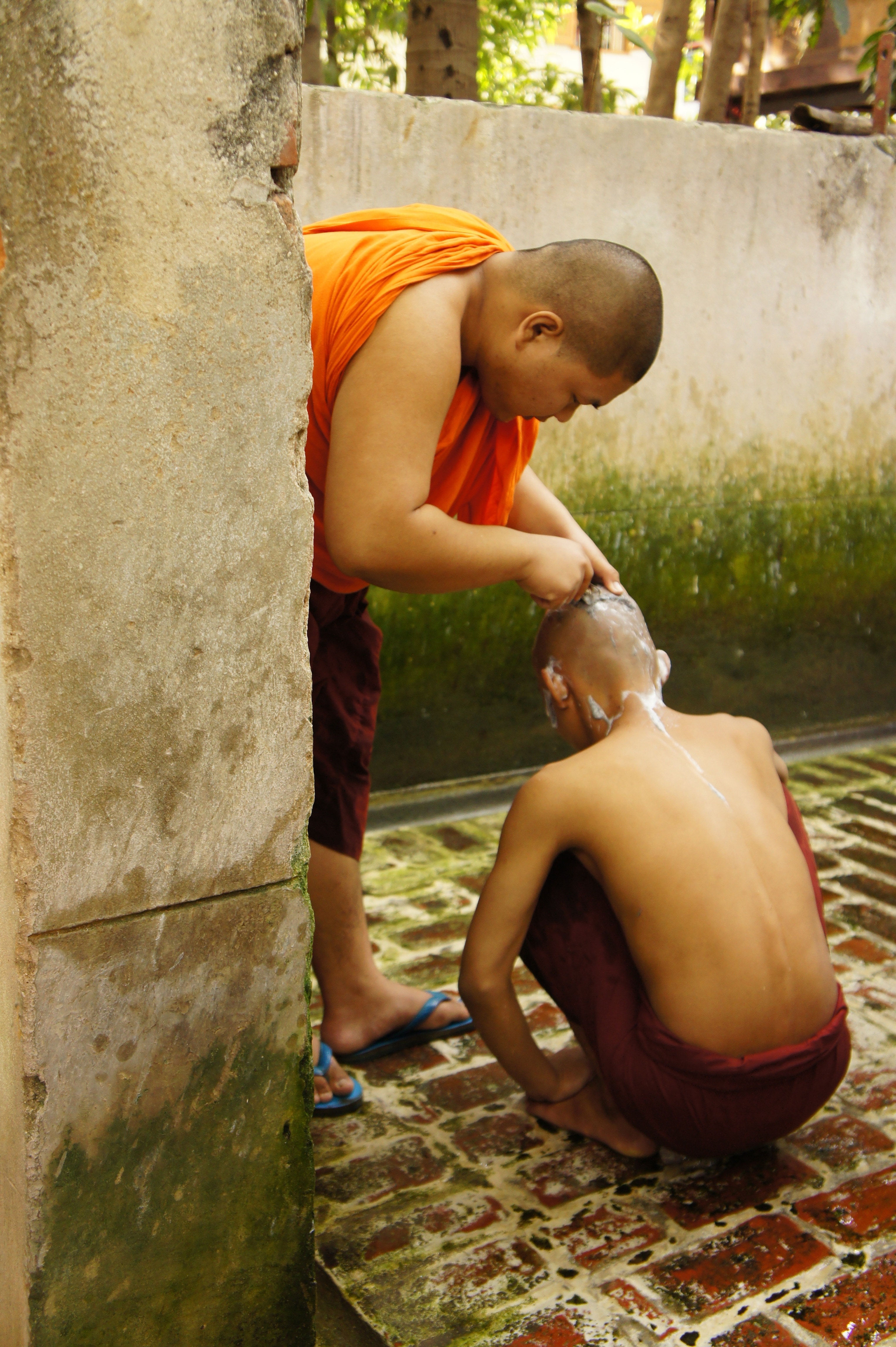 Shaving, Myanmar, Body Care, Help, Monk, one boy only, childhood