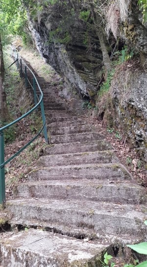 Forest, Railing, Root, Stairs, Stones, day, no people thumbnail