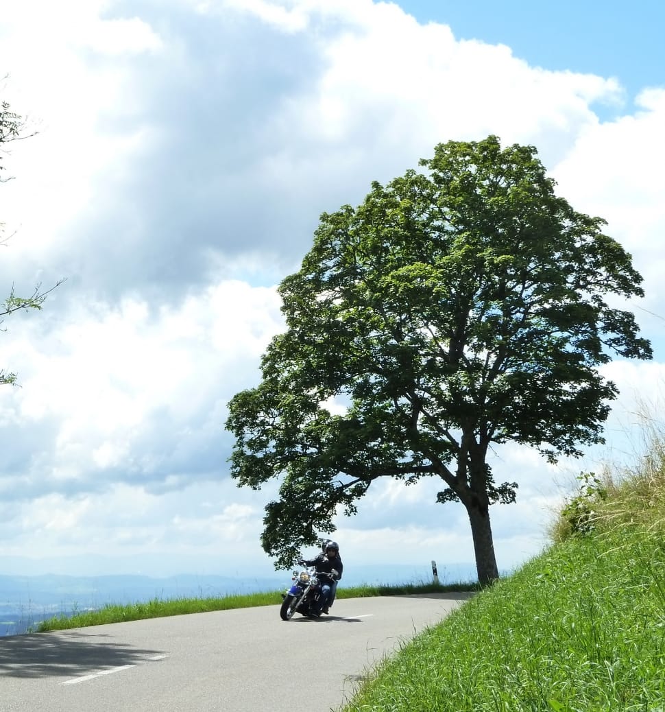 person ride on motorcycle near green tree under white and blue cloudy sky preview