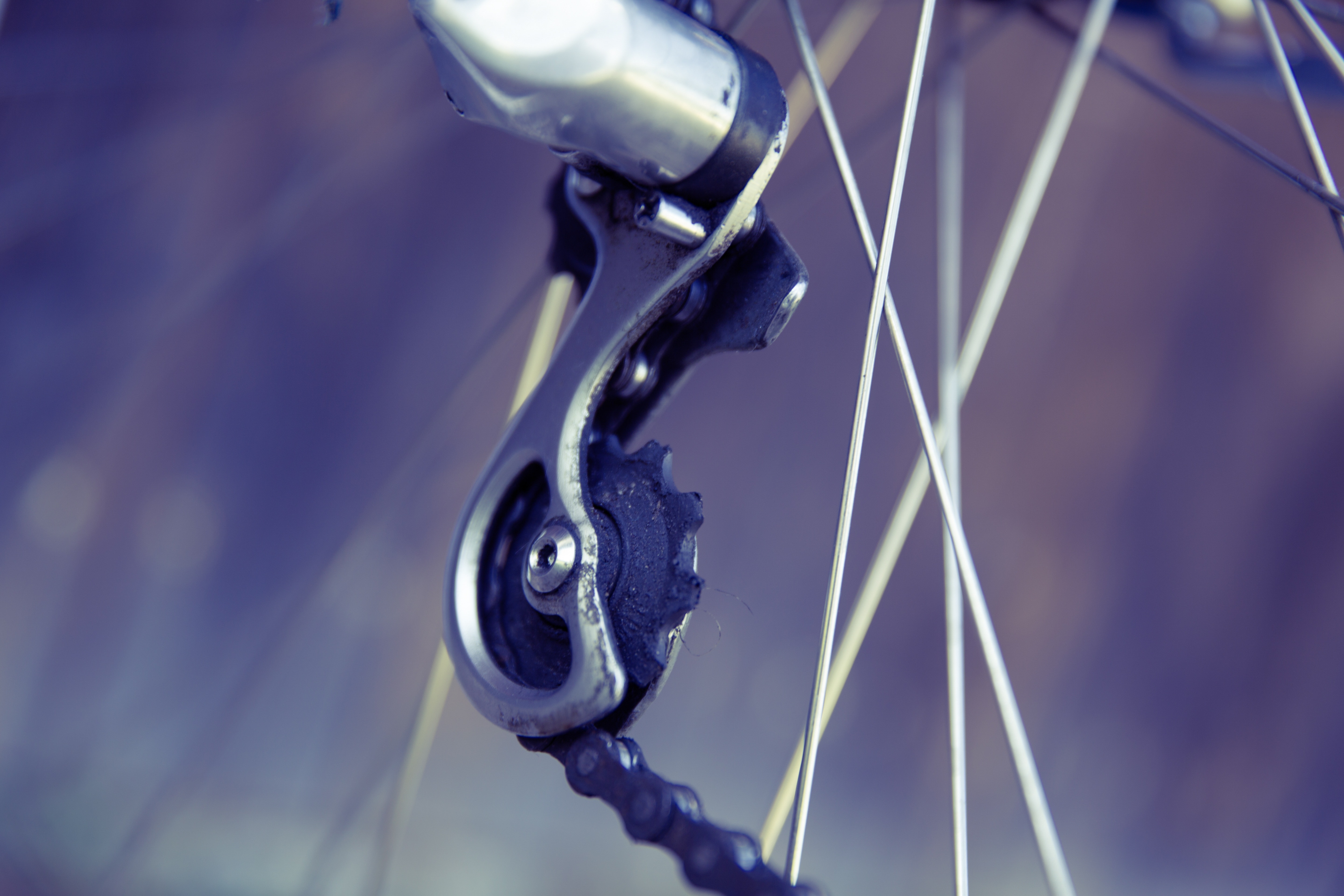black and grey bicycle gear sprocket