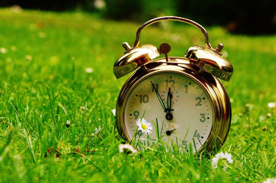 tilt shift lens photography of gold alarm clock on green grass field preview