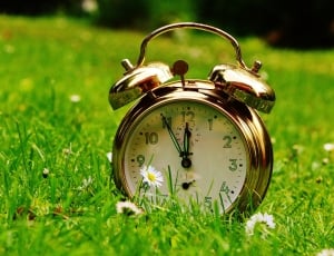 tilt shift lens photography of gold alarm clock on green grass field thumbnail