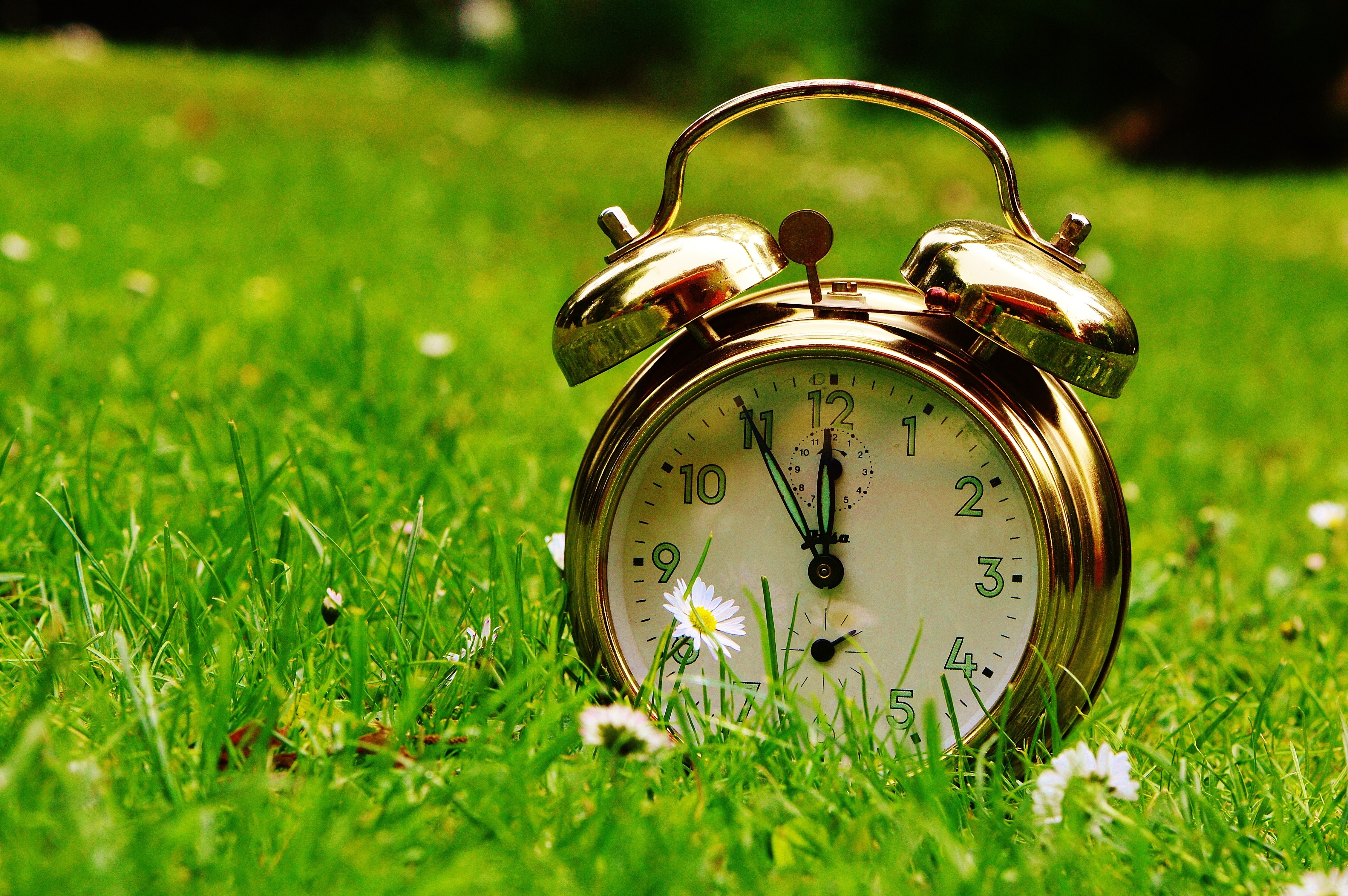 tilt shift lens photography of gold alarm clock on green grass field
