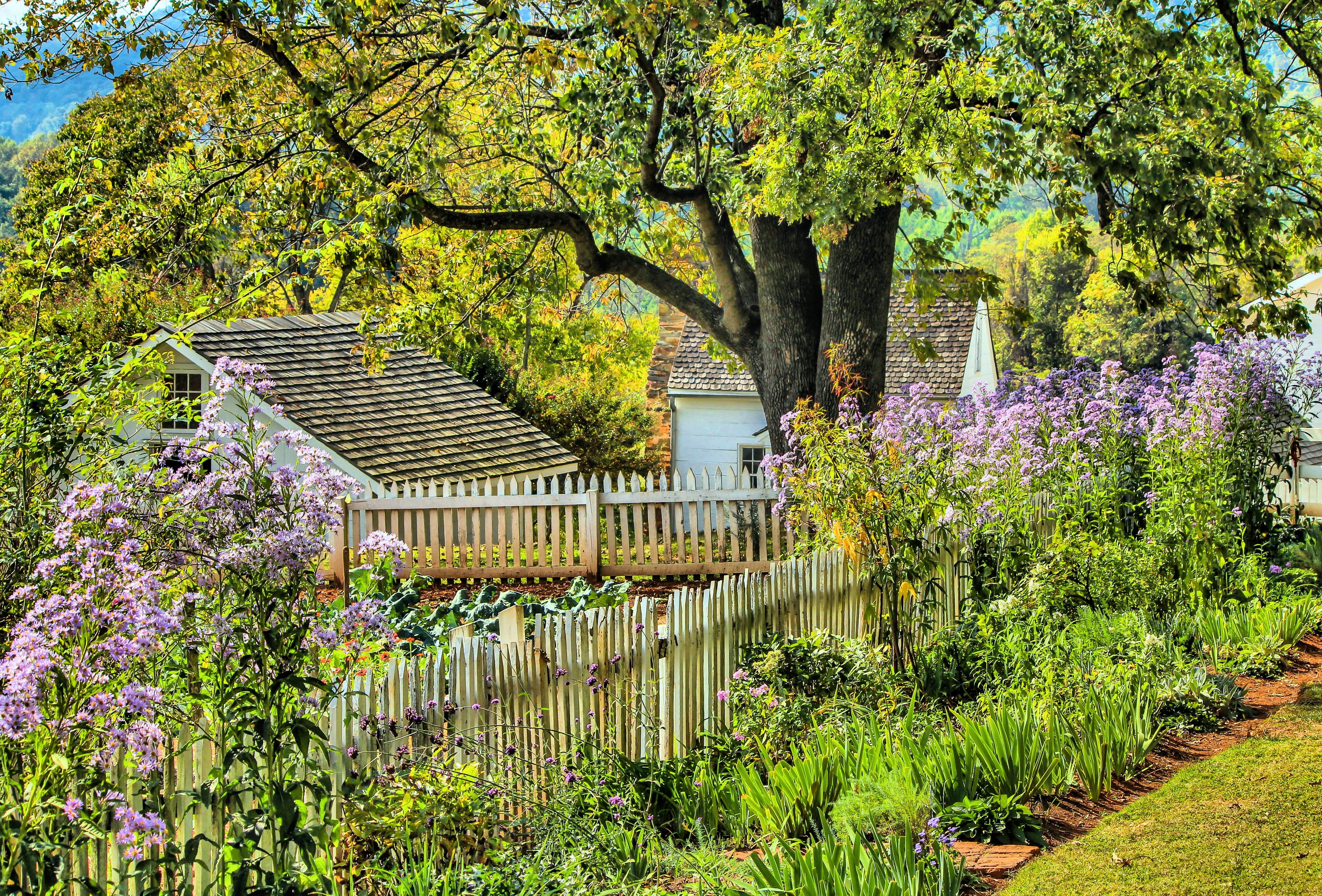 Сады в другом значении. Англия деревня кэмбэлфорд ланшадф садов. Палисад Англия. Пейзажный сад в стиле Прованс. Весенние цветущие усадебные сады Англии.