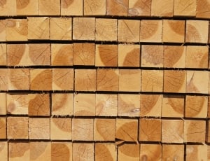 brown wooden firewoods thumbnail