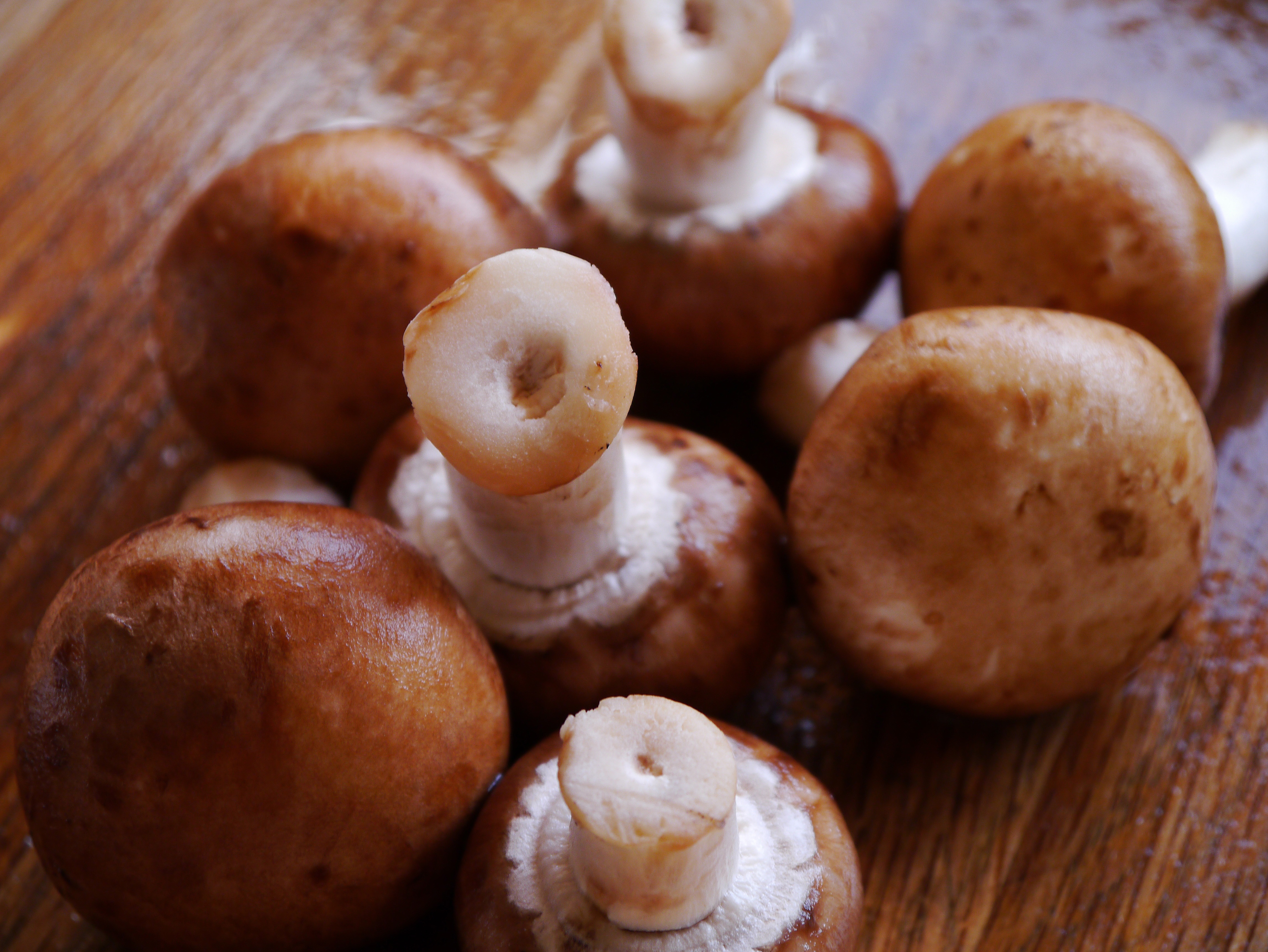 brown mushroom.