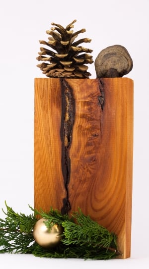 brown pine cone and board thumbnail