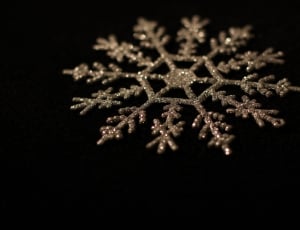 brown glittered snowflake thumbnail