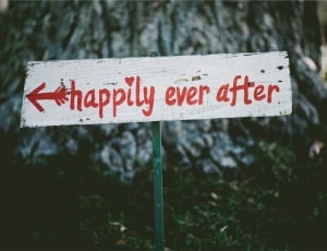white happily ever after signage thumbnail