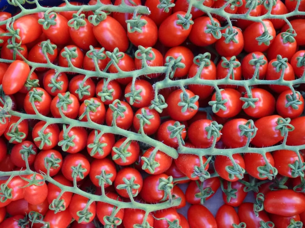 Tomatoes, Red, On The Vine, Vegetables, fruit, food and drink preview