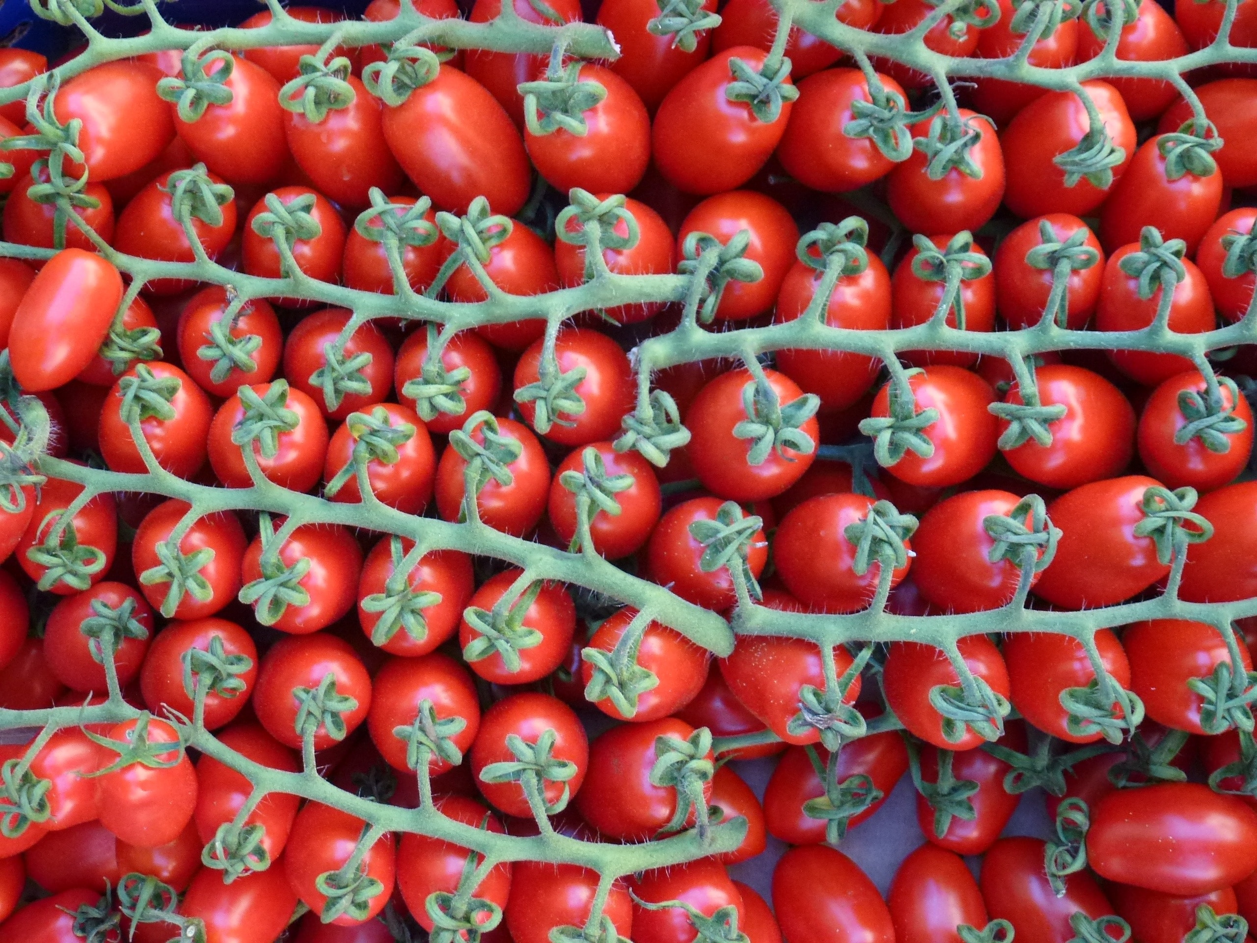 Tomatoes, Red, On The Vine, Vegetables, fruit, food and drink
