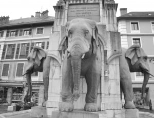 gray elephant concrete statue thumbnail