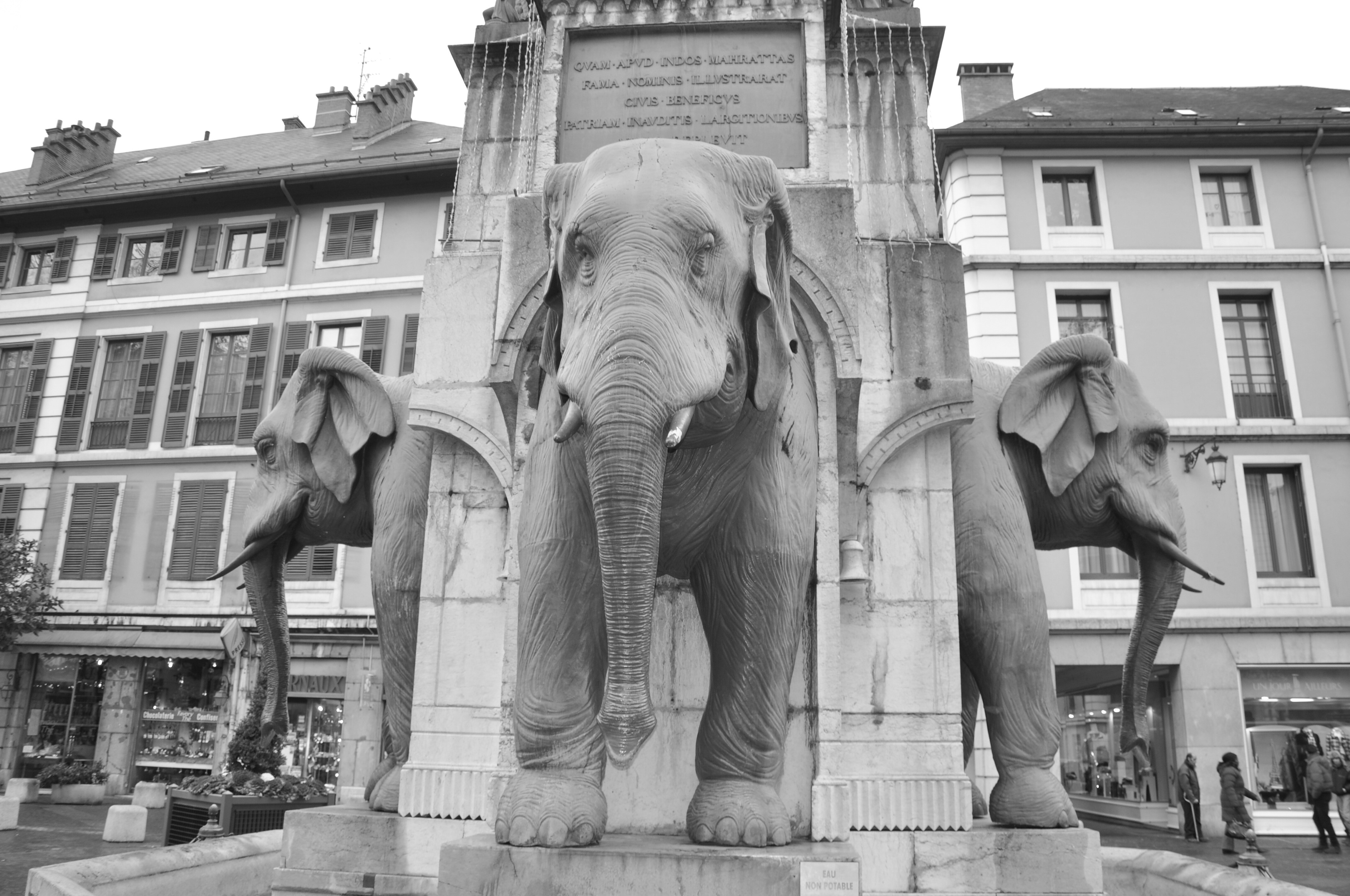 gray elephant concrete statue