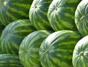 Fruit, Water Melons, Green, Melons, vegetable, green color thumbnail