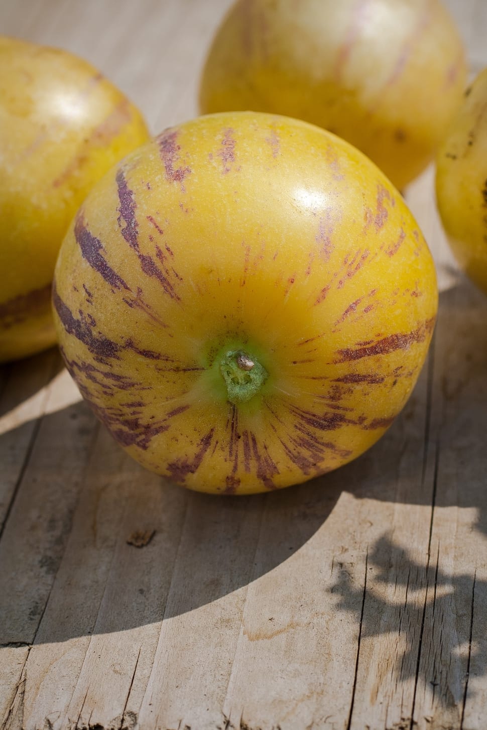 yellow round fruit preview