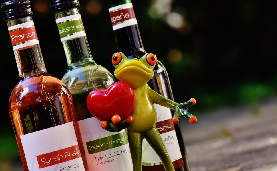 selective focus photography of tree frog near three labeled bottles preview