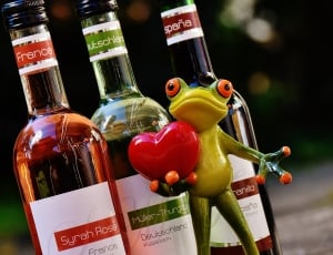 selective focus photography of tree frog near three labeled bottles thumbnail