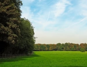 green grass field surrounded by trees during daytime thumbnail