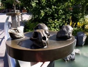 Animal skull and bird concrete statuette thumbnail