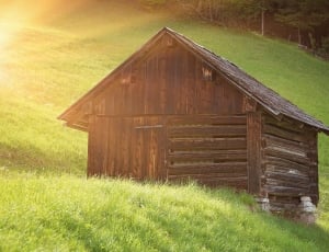 brown wooden shed on green grass during daytime thumbnail