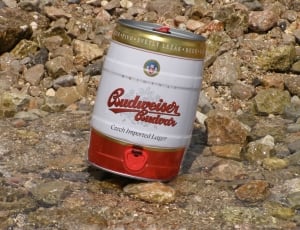 red gold and red budweiser can thumbnail