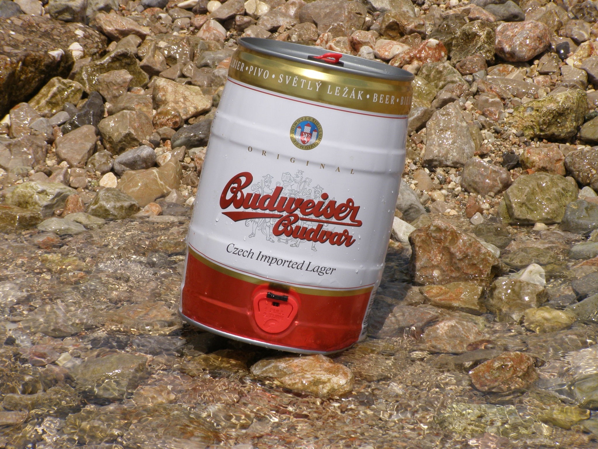 red gold and red budweiser can