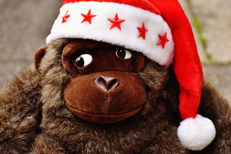 Christmas, Stuffed Animal, Santa Hat, red, christmas preview
