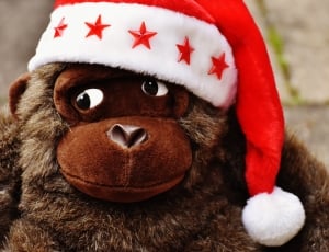 Christmas, Stuffed Animal, Santa Hat, red, christmas thumbnail