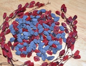 blue and red dry fruits thumbnail