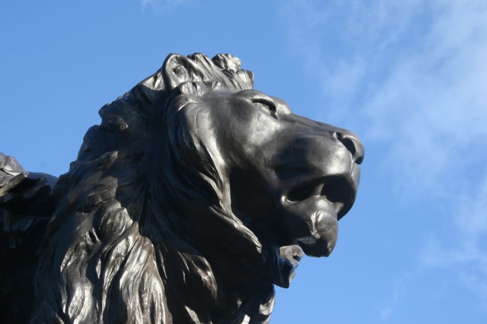 black lion sculptured statue preview