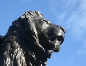 black lion sculptured statue thumbnail
