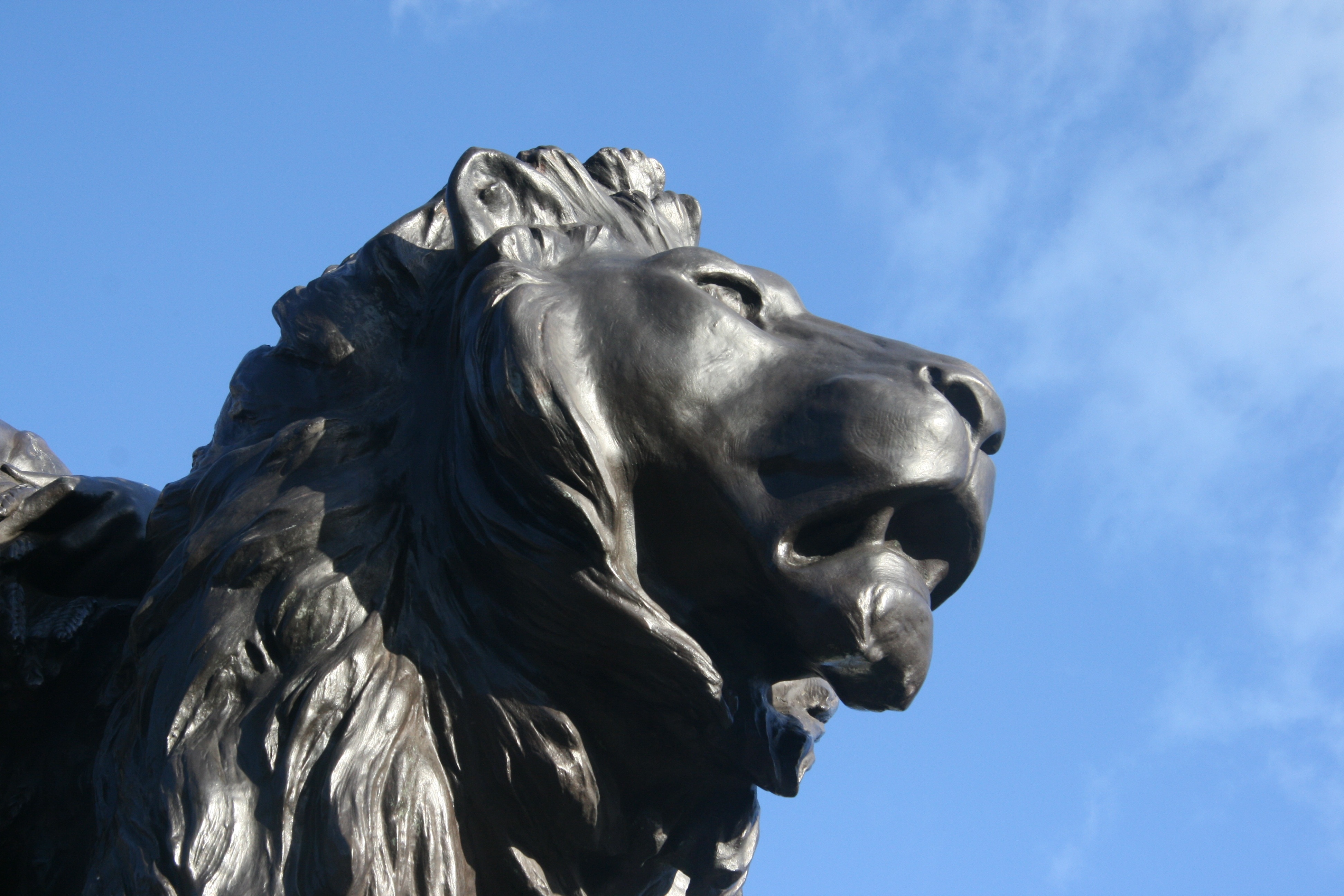 black lion sculptured statue