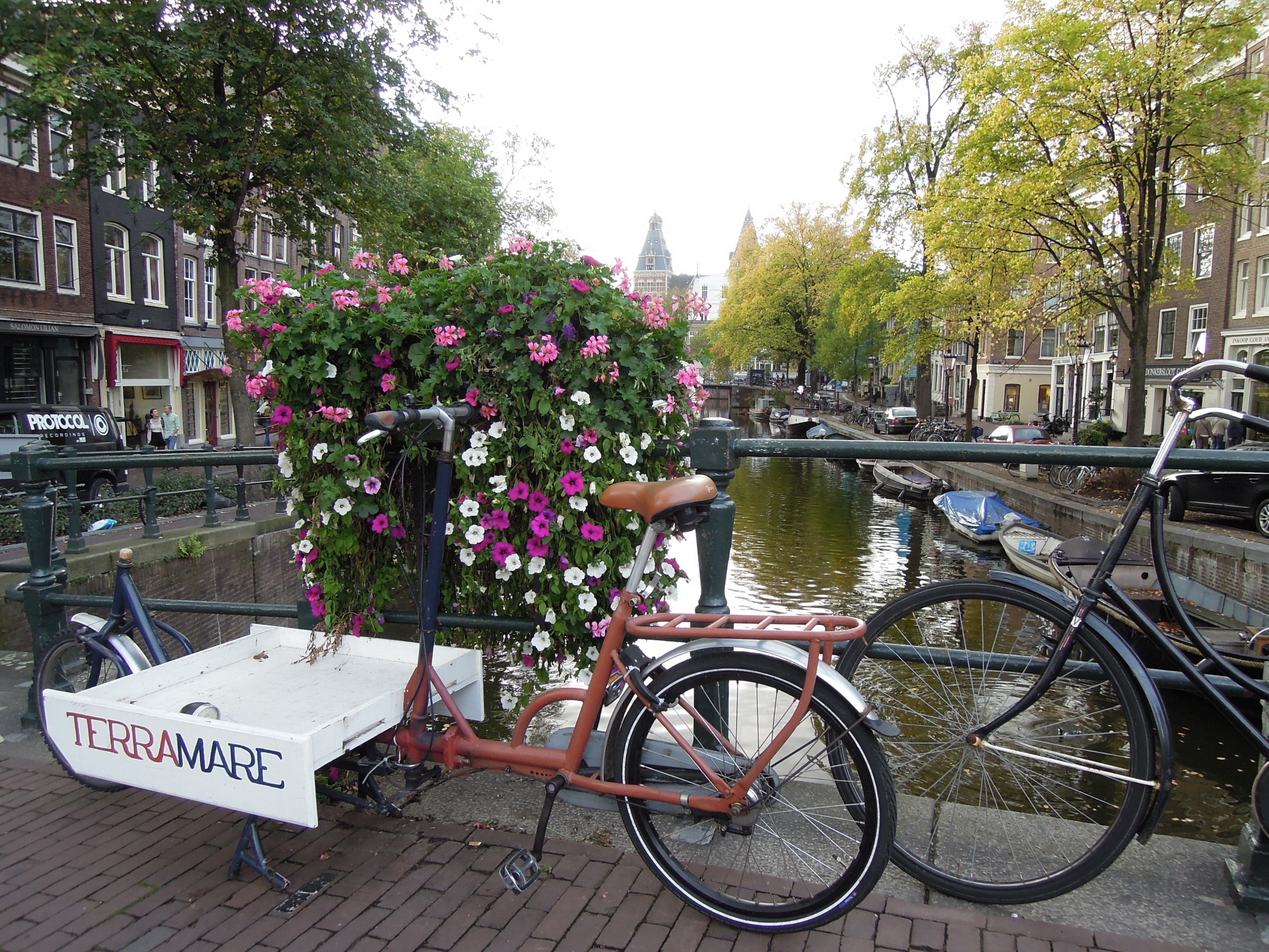 велосипеды в голландии