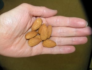 brown almond fruit thumbnail