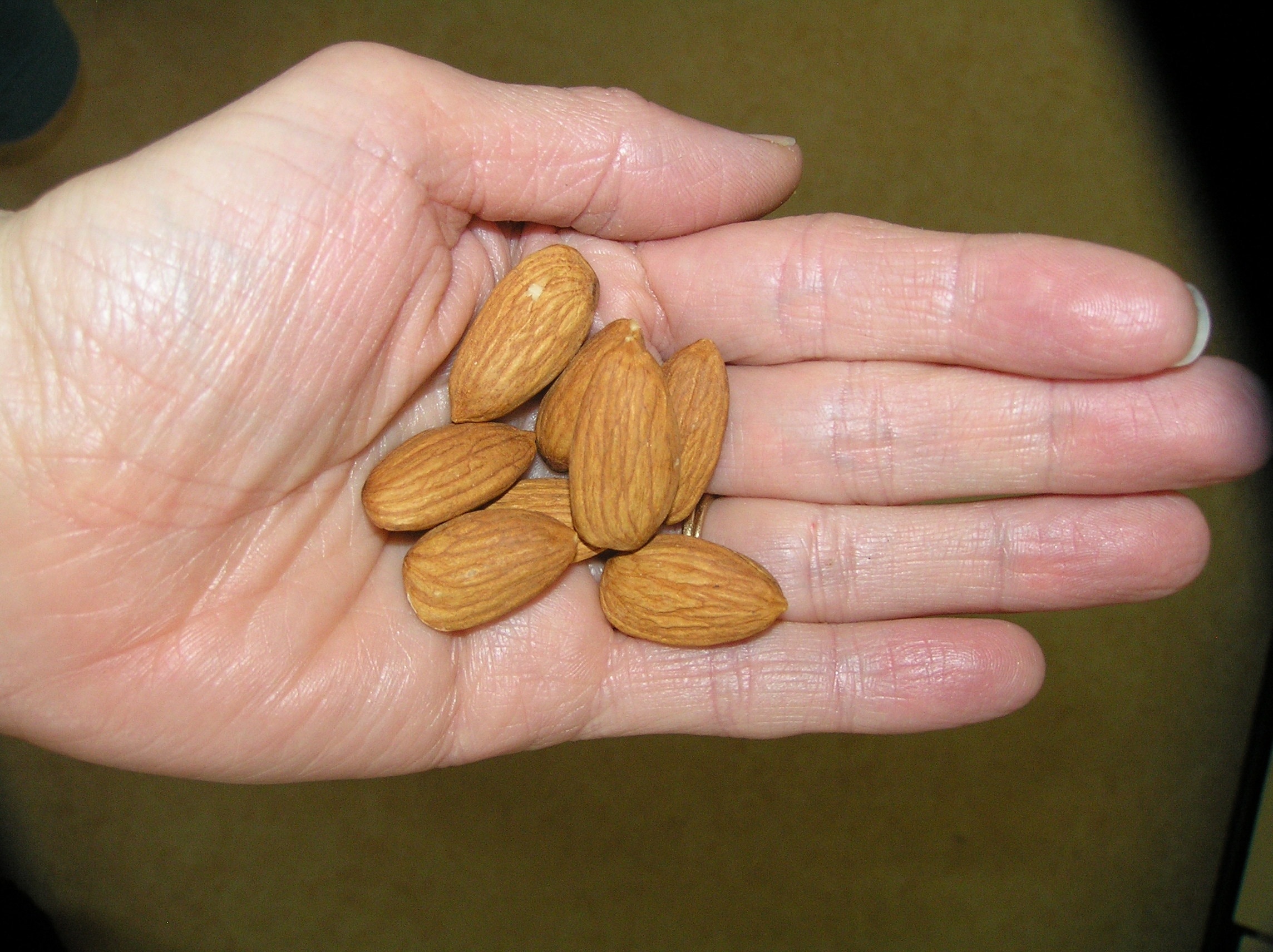 brown almond fruit