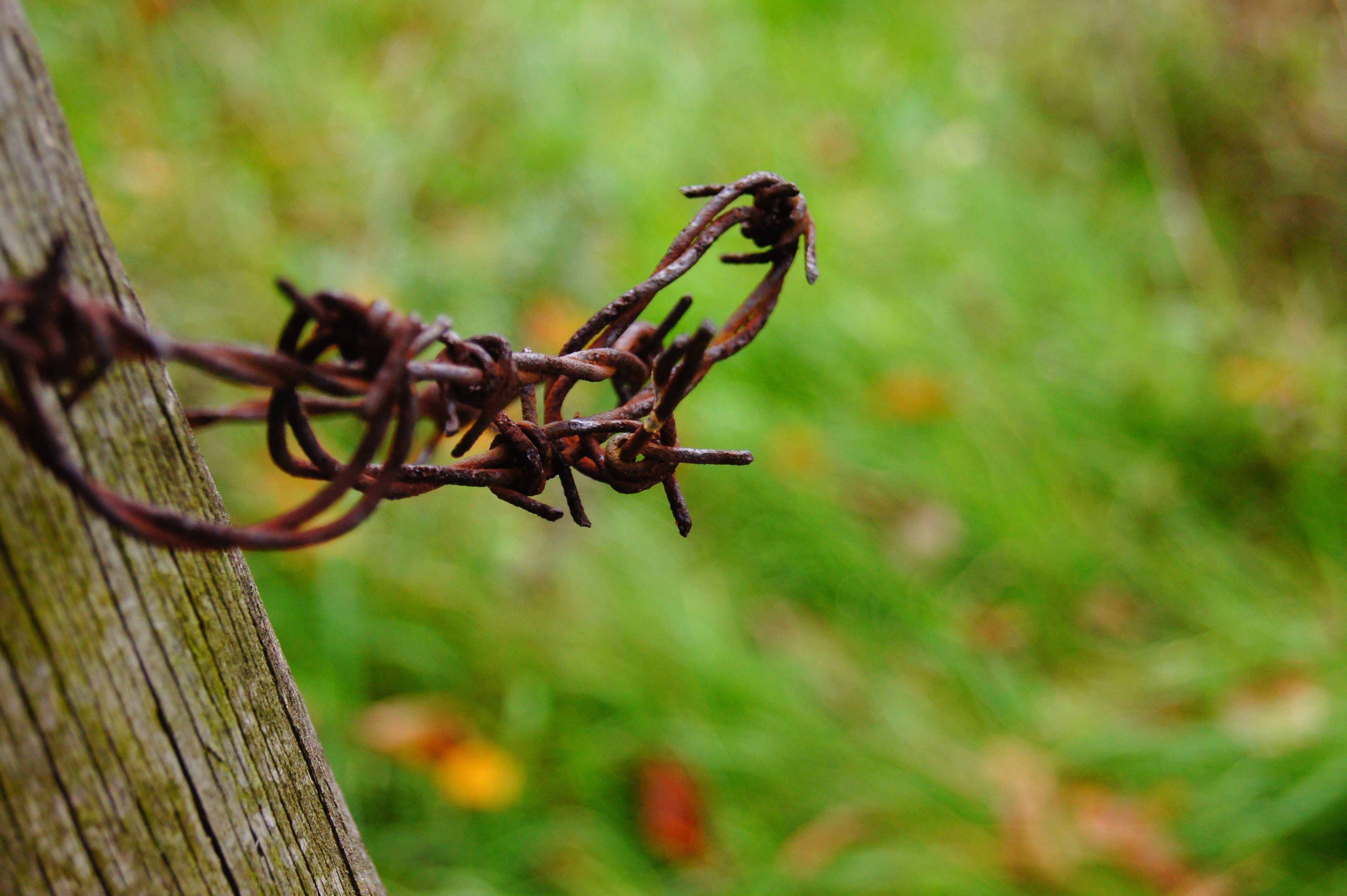 brass barbed wire