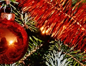 Christmas, Christmas Balls, christmas, christmas tree thumbnail