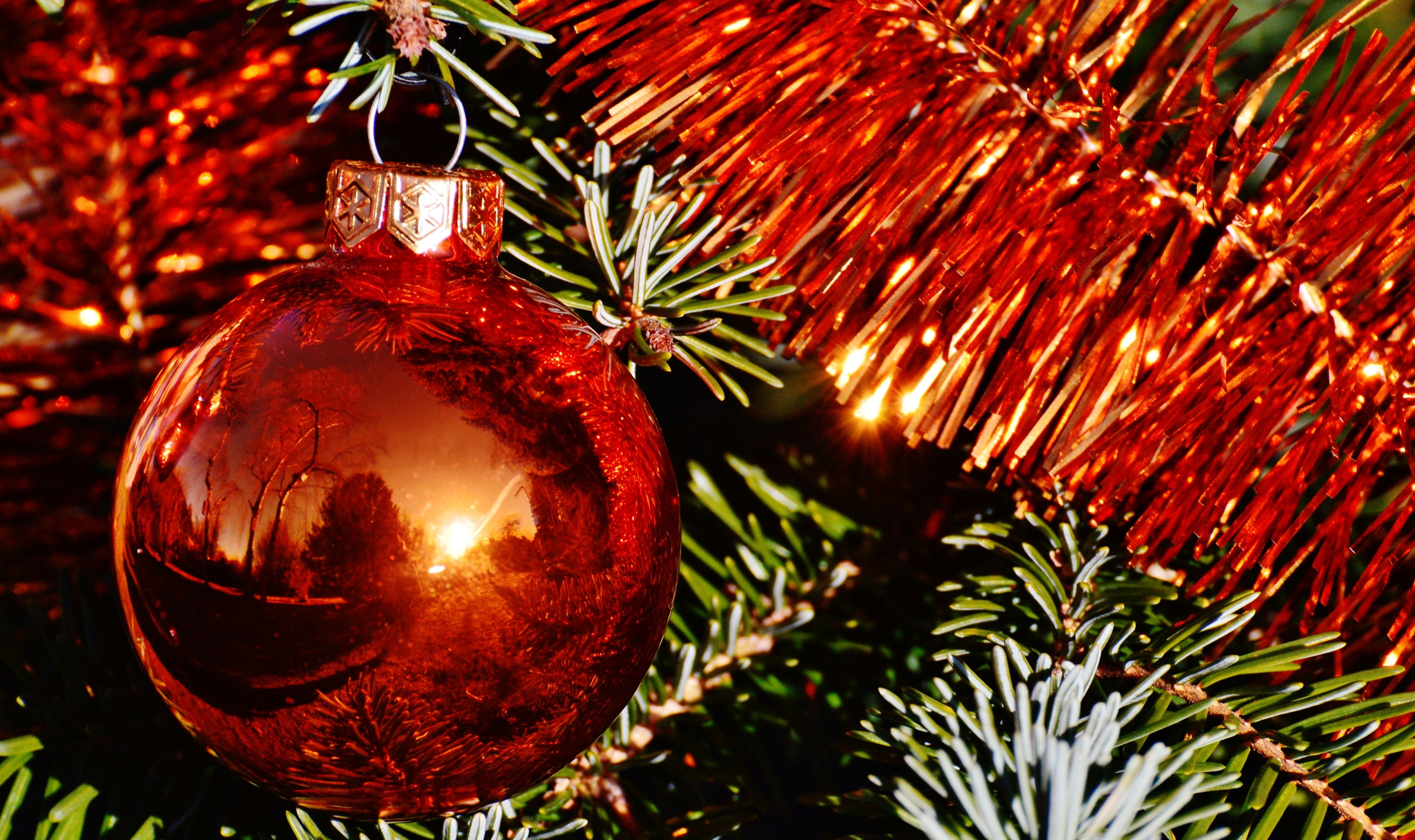 Christmas, Christmas Balls, christmas, christmas tree