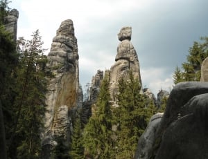 pine trees near rock formation thumbnail