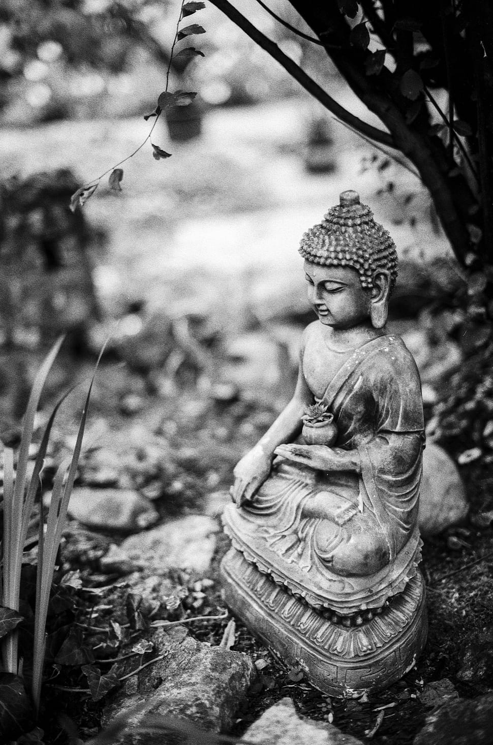 meditating buddha grayscale photography preview