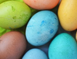close up photo of blue, green, and yellow eggs thumbnail