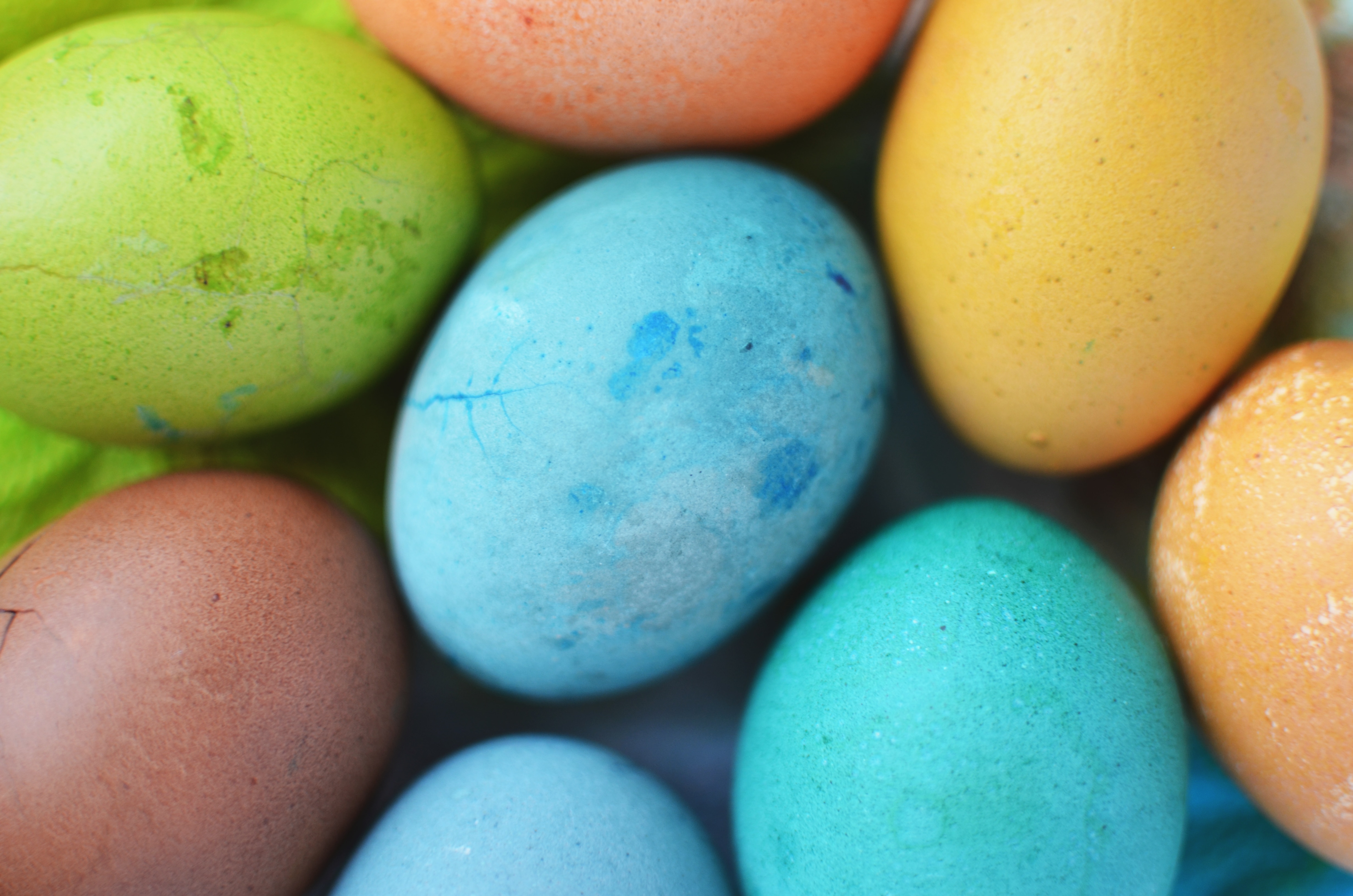 close up photo of blue, green, and yellow eggs