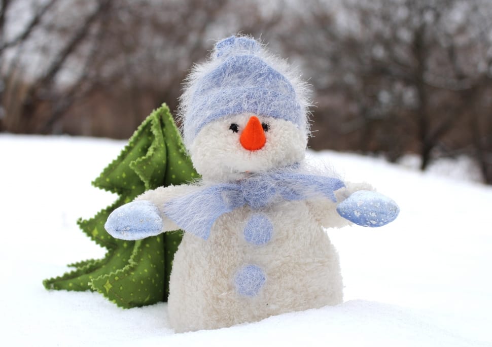 white and blue snowman plus toy free image