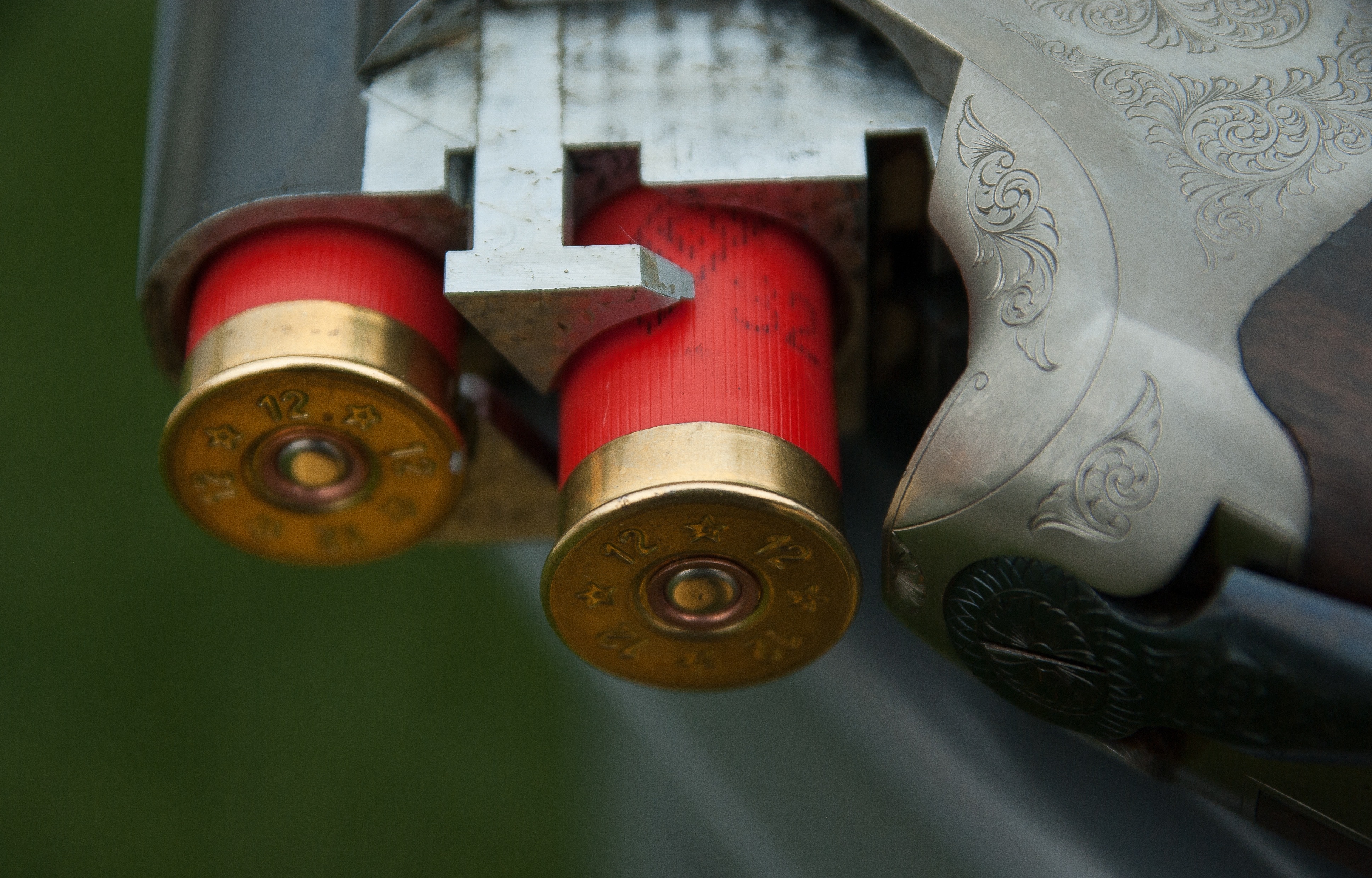 2 pcs red shotgun shells on a double barrel shotgun