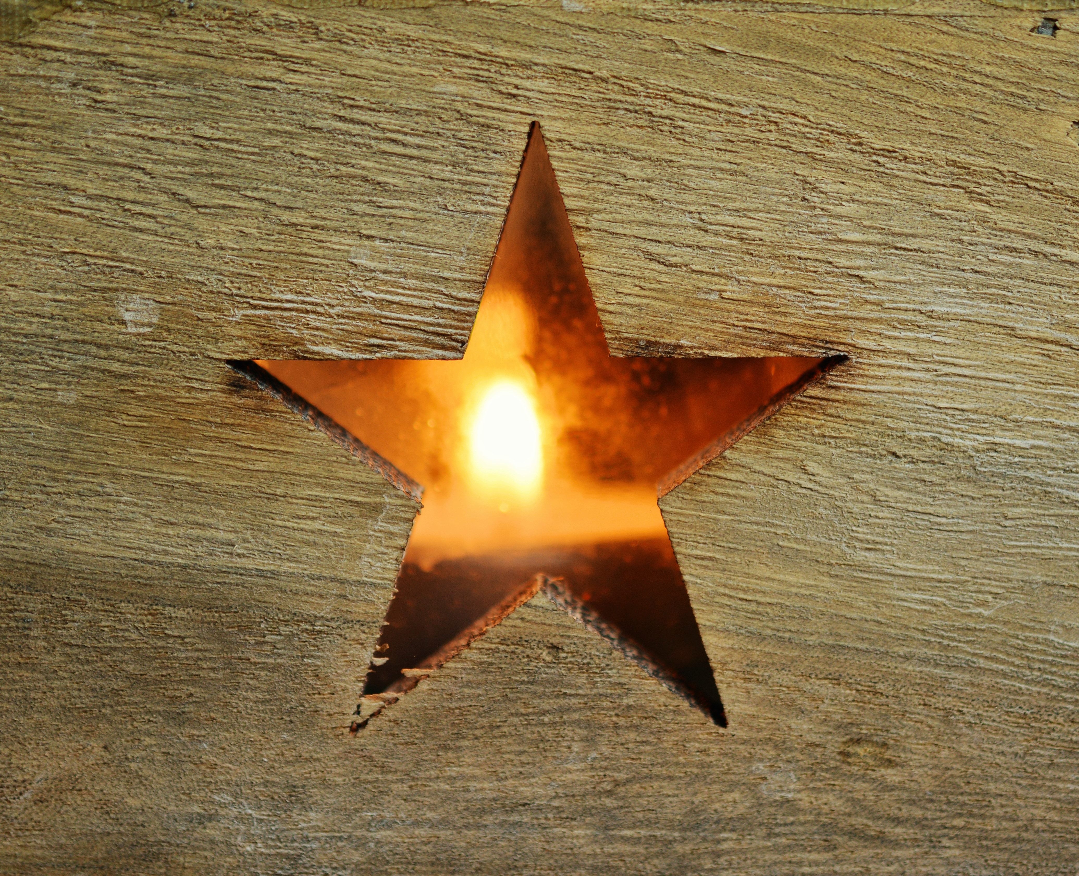 brown star decoration