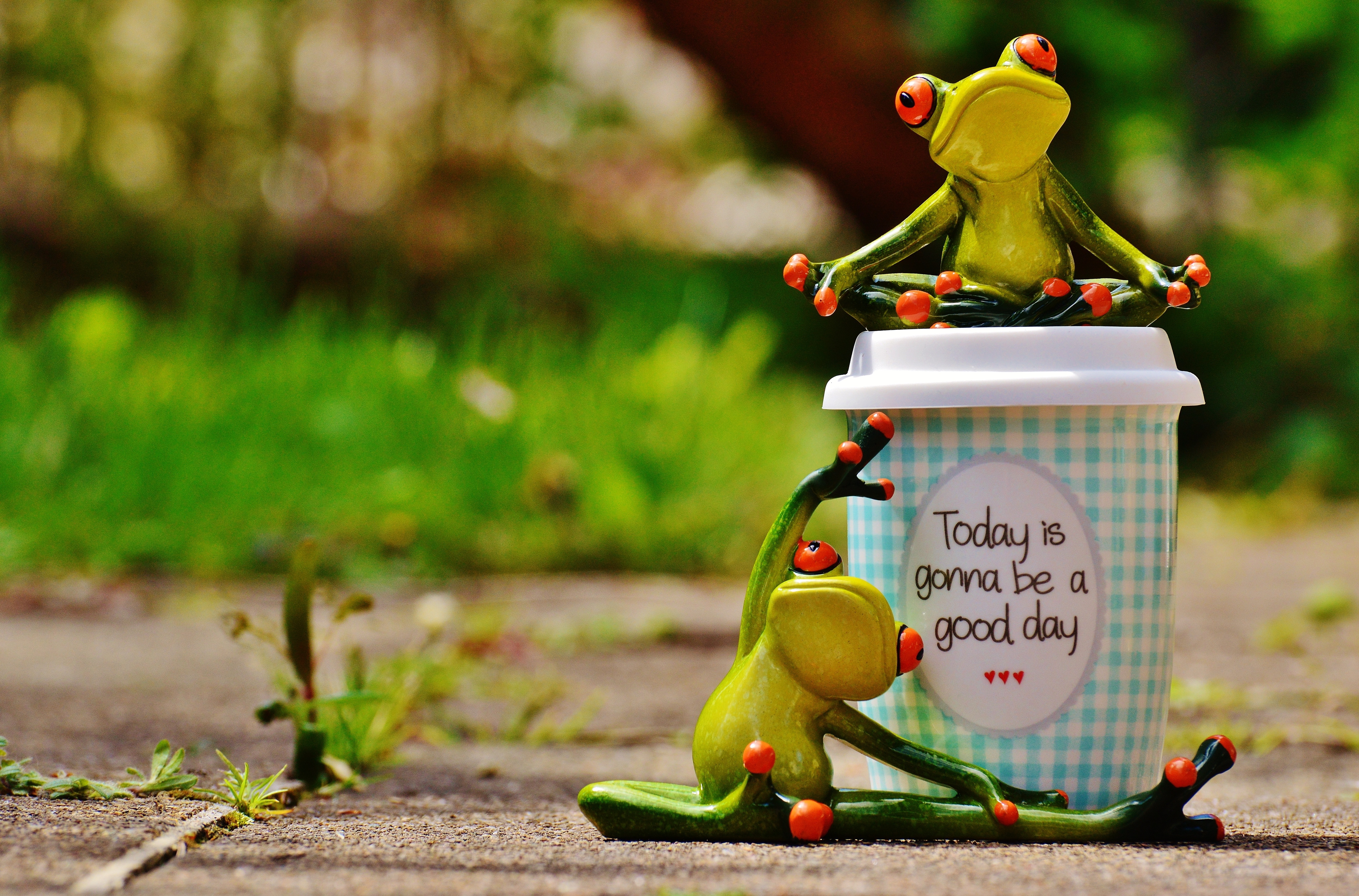 Coffee, Cup, Frog, Beautiful Day, Joy, outdoors, focus on foreground