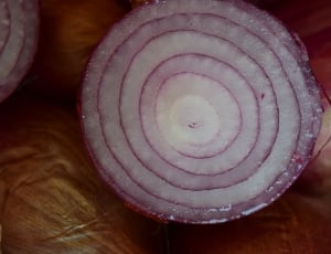Frisch, Food, Onion Rings, Onion, spiral, vegetable thumbnail