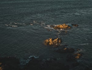 body of water ocean during daytime thumbnail