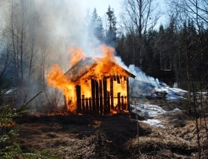 black wooden shed with fire thumbnail