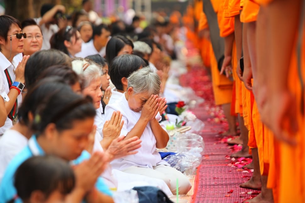 Monks, Praying, Buddhism, Buddhists, senior adult, cultures preview